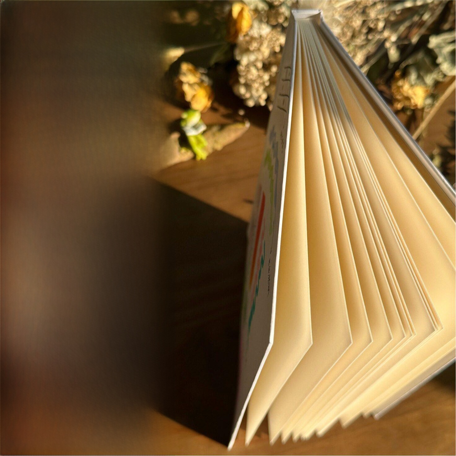 Hand Drawn Hard Cover Accordio - đánh giá và giá Journal Leather Hardcover